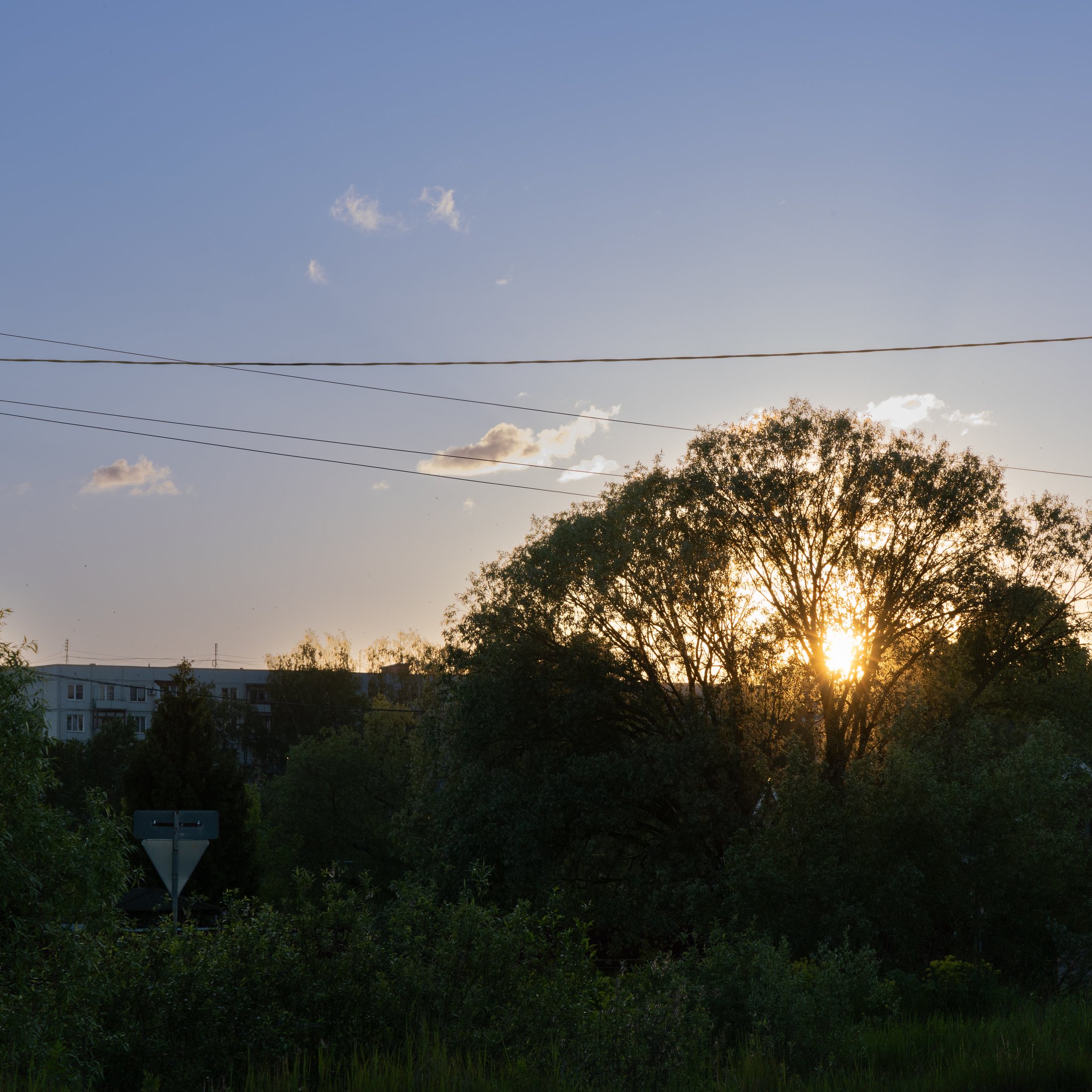 Лето зимой, фото 5